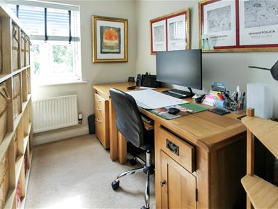 Picture 11